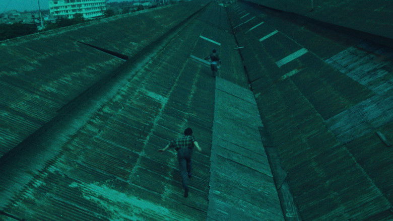 Days of Being Wild still