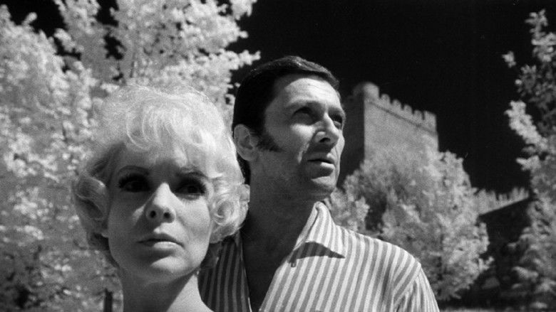 Honeymoon with a Stranger still