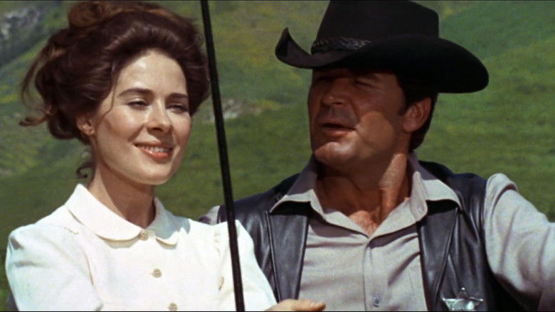 Support Your Local Sheriff! still