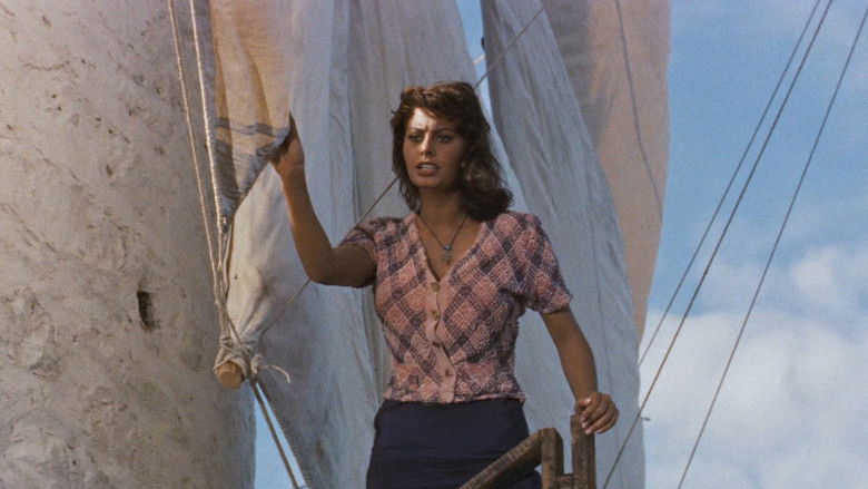 Boy on a Dolphin still 1