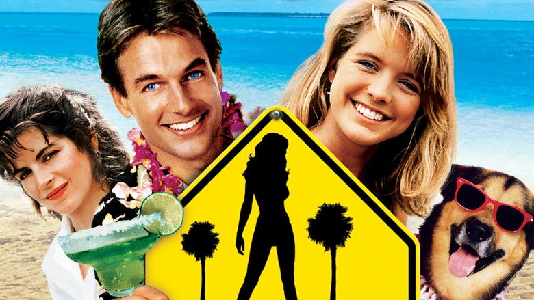 Summer School still 3