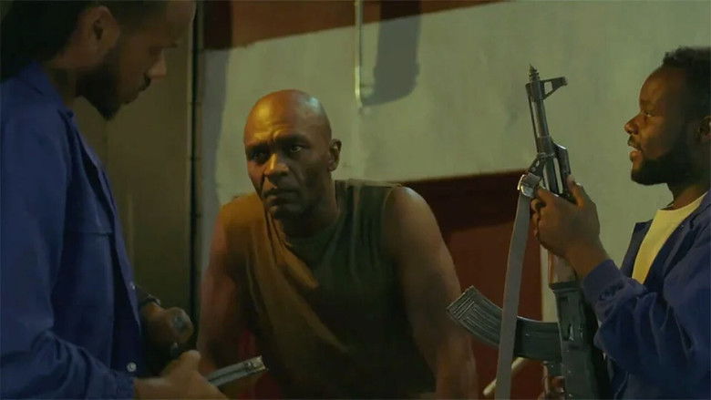 Delfines de plata still 2