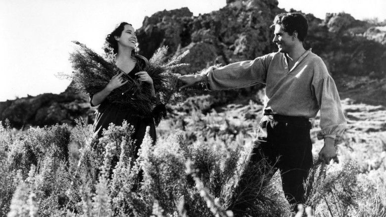 Wuthering Heights still 3