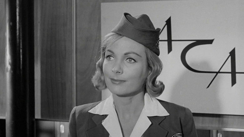 Blood Orange still 3