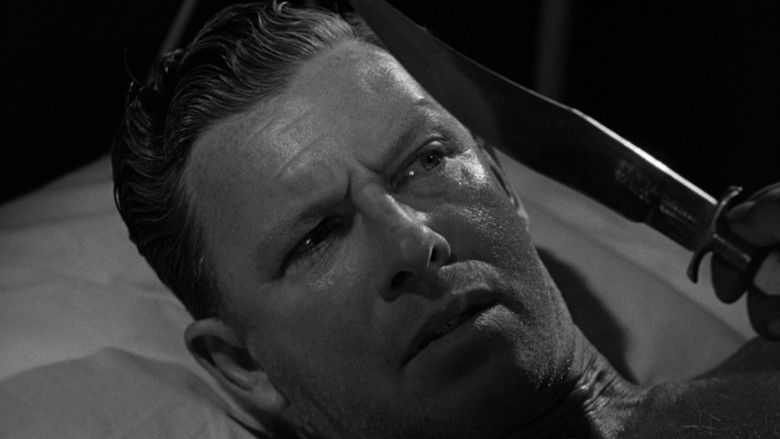 Border Incident still