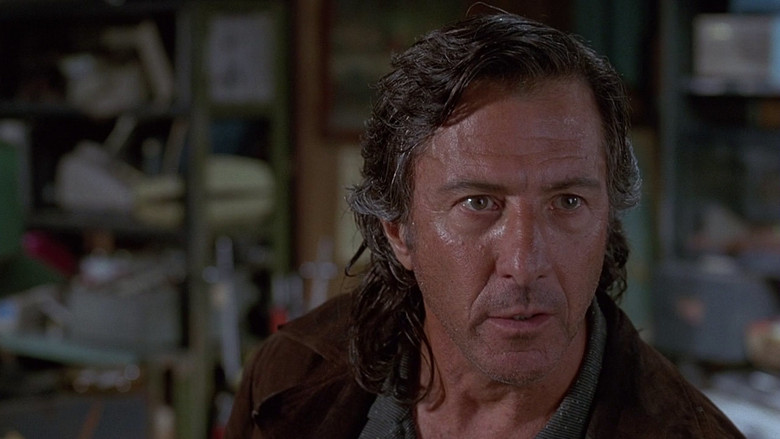 American Buffalo still