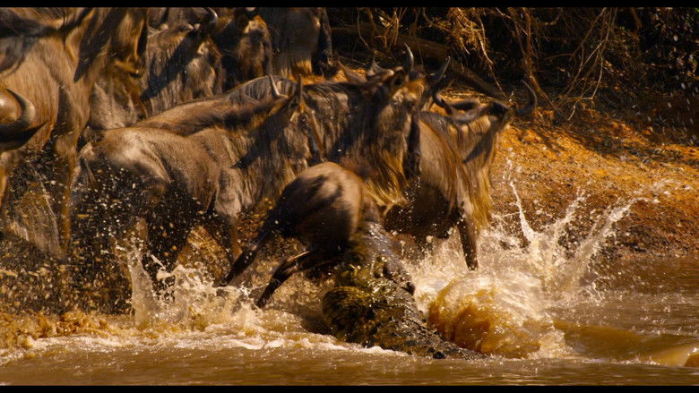 Enchanted Kingdom still