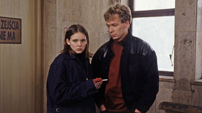 Eastern Cross still 2