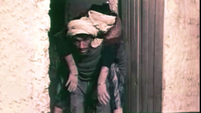 Wind from the South still 2