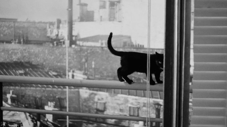 Elevator to the Gallows still 3