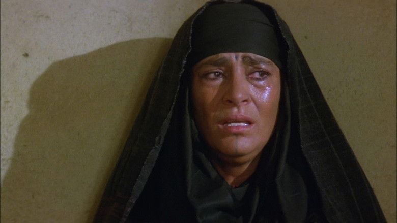 أسد الصحراء still