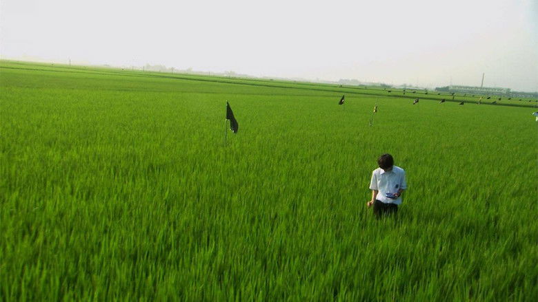 All About Lily Chou-Chou still