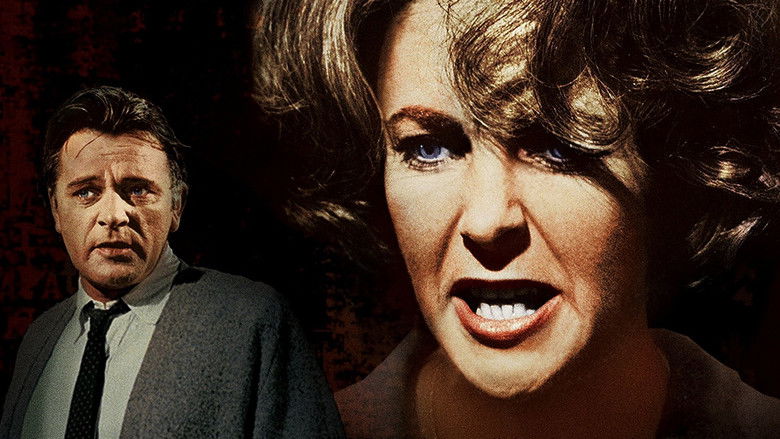 Who's Afraid of Virginia Woolf? still