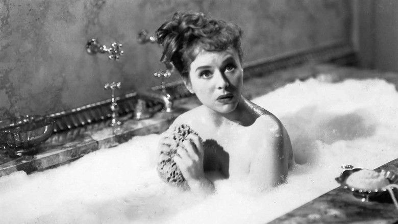 The Lady Has Plans still