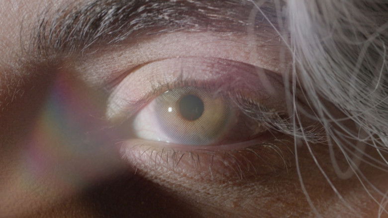 DIES MIRABILIS still 2