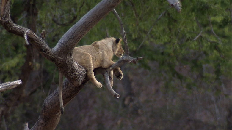 Predator's Playground still 2