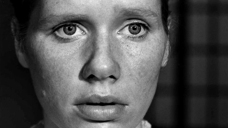 Hour of the Wolf still