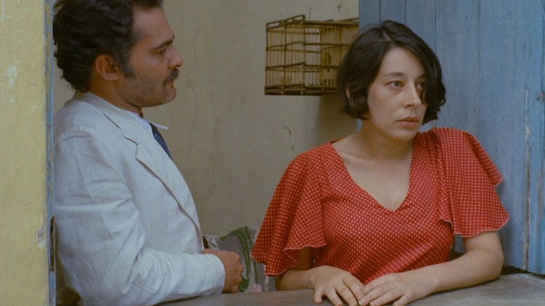 Saint Bernard still 2