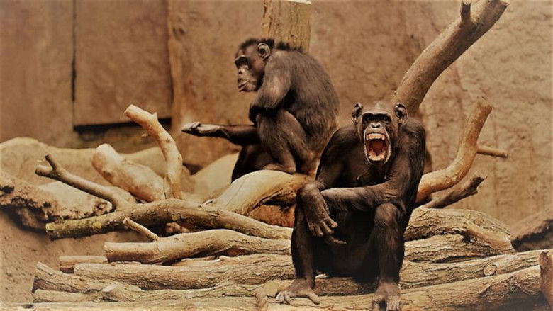 Human By Chance? still