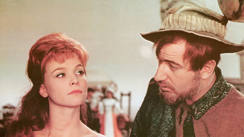 King Thrushbeard still