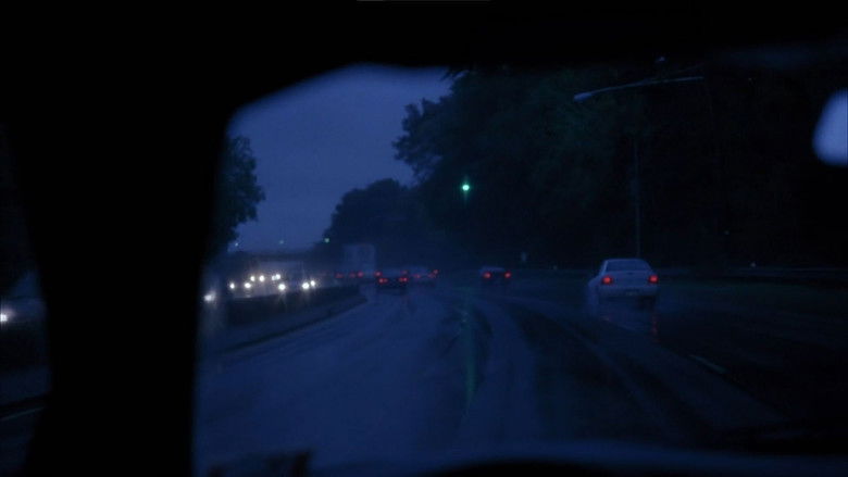 Broken Flowers still