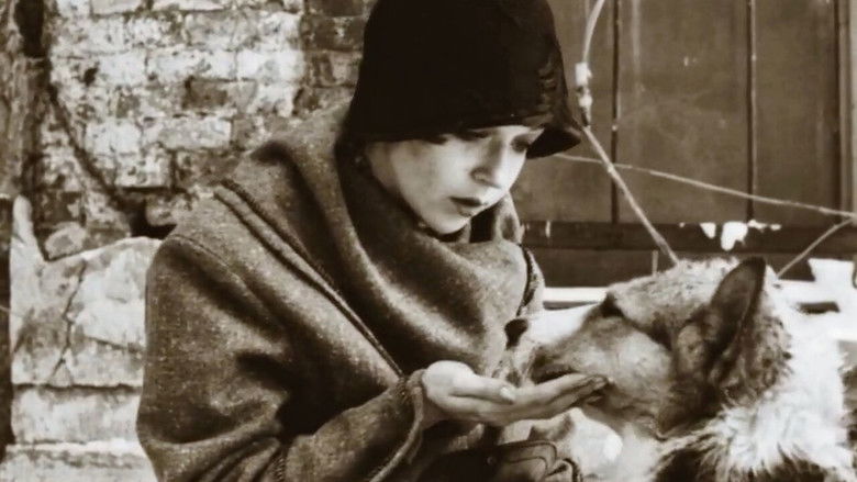 Heart of a Dog still 2