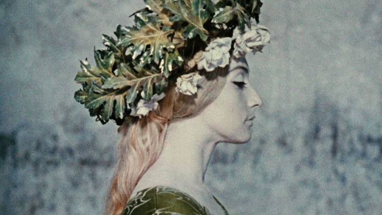 The Color of Pomegranates still