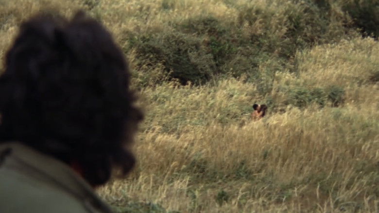 Lovers Are Wet still