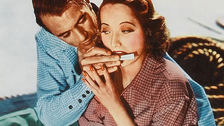 The Cowboy and the Lady still