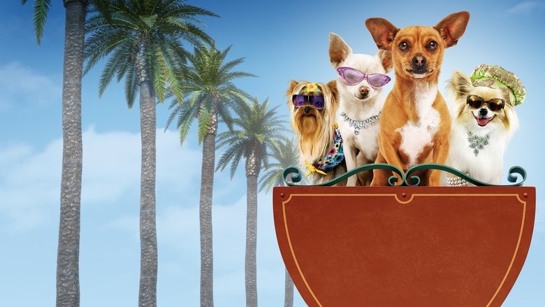 Beverly Hills Chihuahua still 1