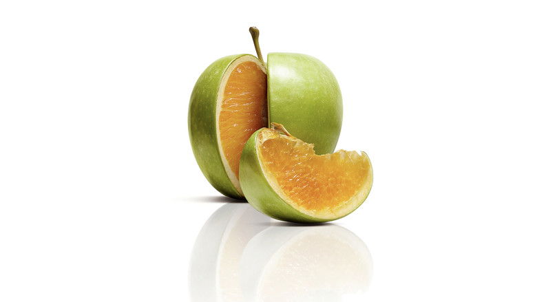 Freakonomics still 3