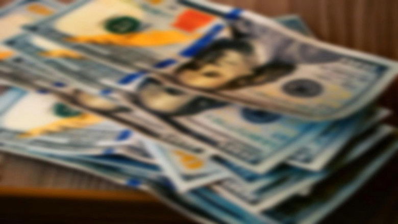 Cinereous Money still 1