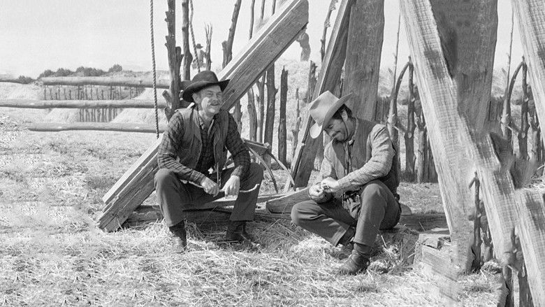 Westward the Women still