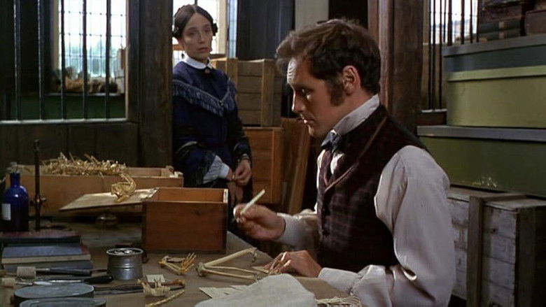 Angels and Insects still