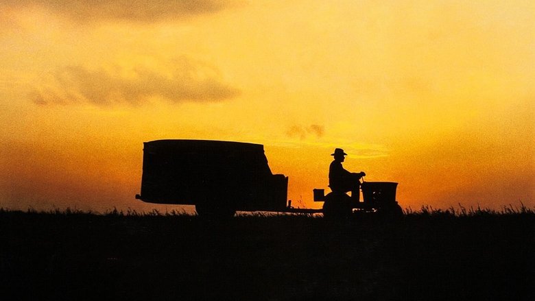 The Straight Story still 2