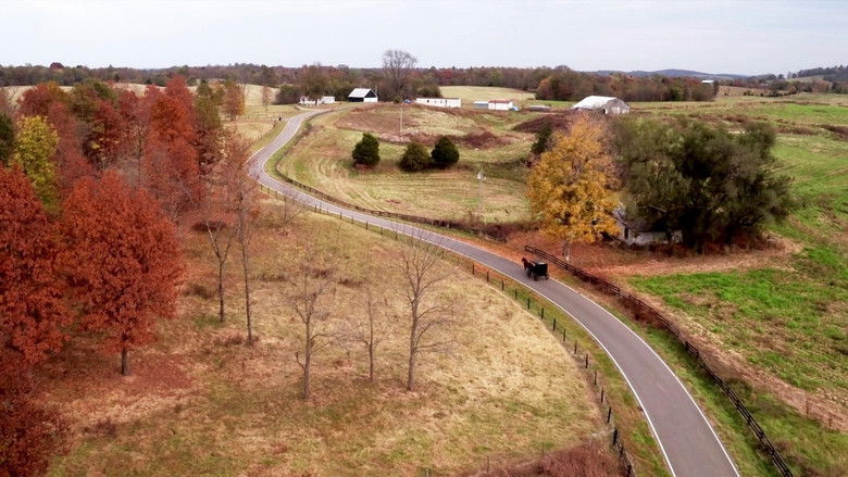 An Uncommon Grace still