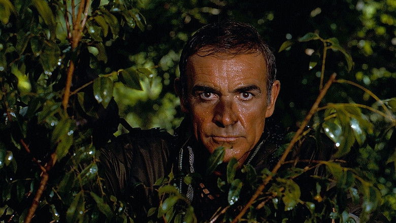 Never Say Never Again still