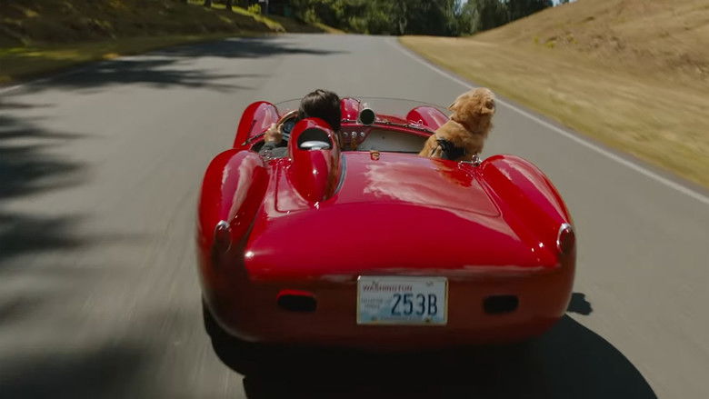 The Art of Racing in the Rain still