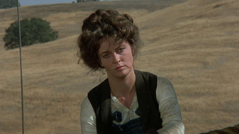 Oklahoma Crude still