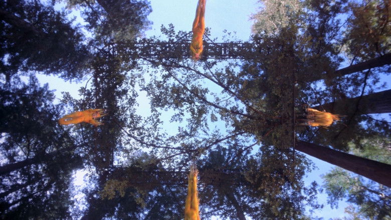 Cirque du Soleil: Journey of Man still 2