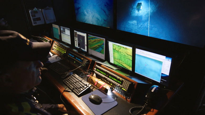 Expedition Amelia still