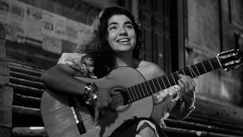 Variety Lights still