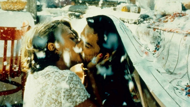 Black Cat, White Cat still 1