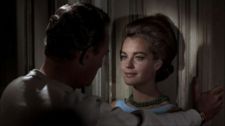 10:30 P.M. Summer still 1