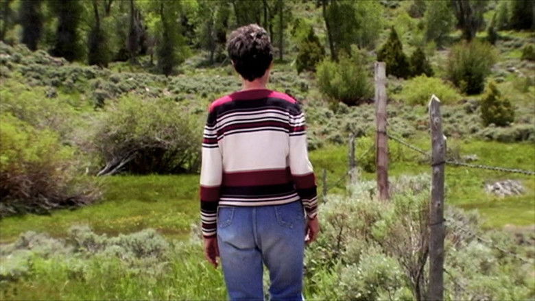 Cameraperson still 2