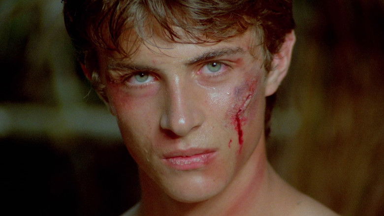 Karate Warrior still