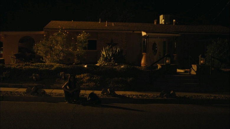 In the Summers still