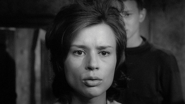 Through a Glass Darkly still