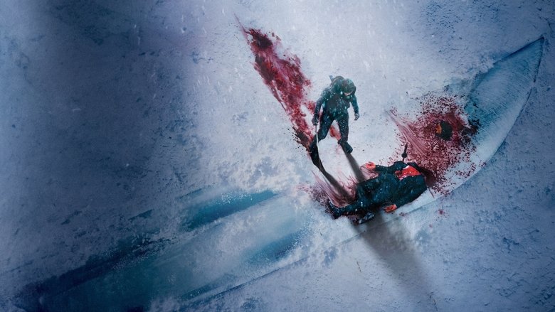 The Shadow Strays still