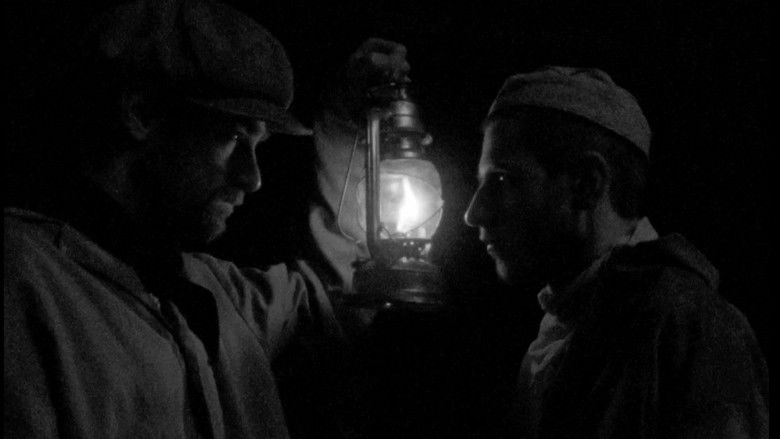 In Another Homeland still 2